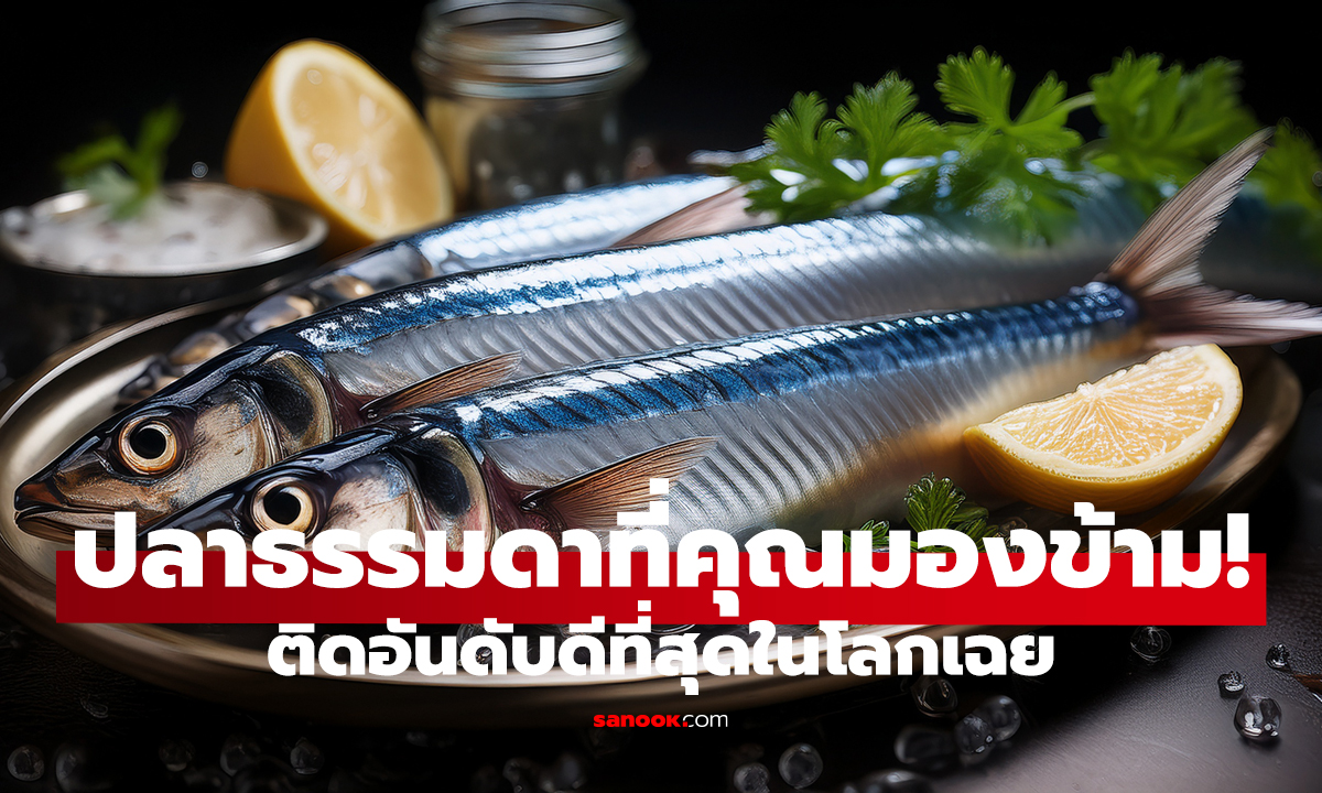 2 ปลาที่ดีที่สุดในโลกคืออะไร? คำตอบมีขายในไทยทุกตลาด