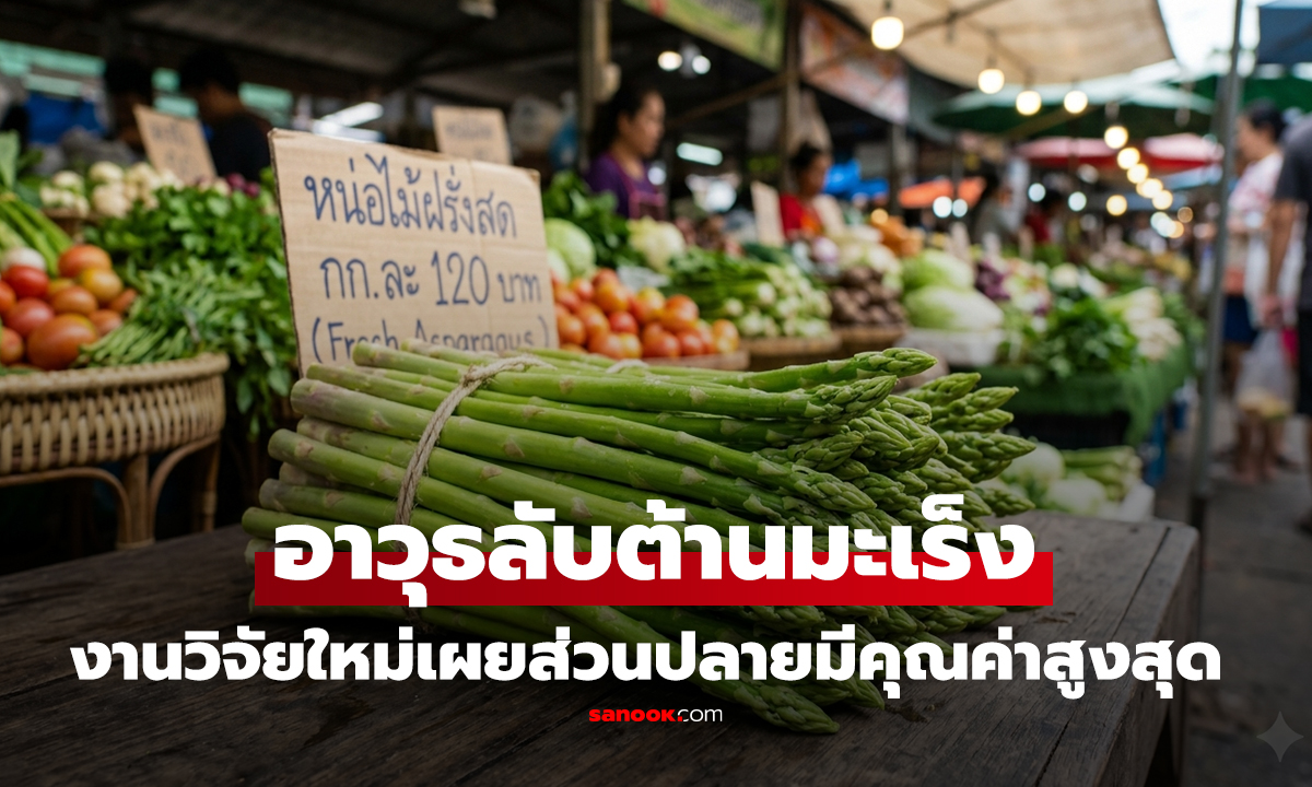 เปิดวิจัยผัก 1 ชนิด อาวุธลับต้านมะเร็ง ต่อสู้โรคอ้วน ทีเด็ดอยู่ตรงปลายยอด