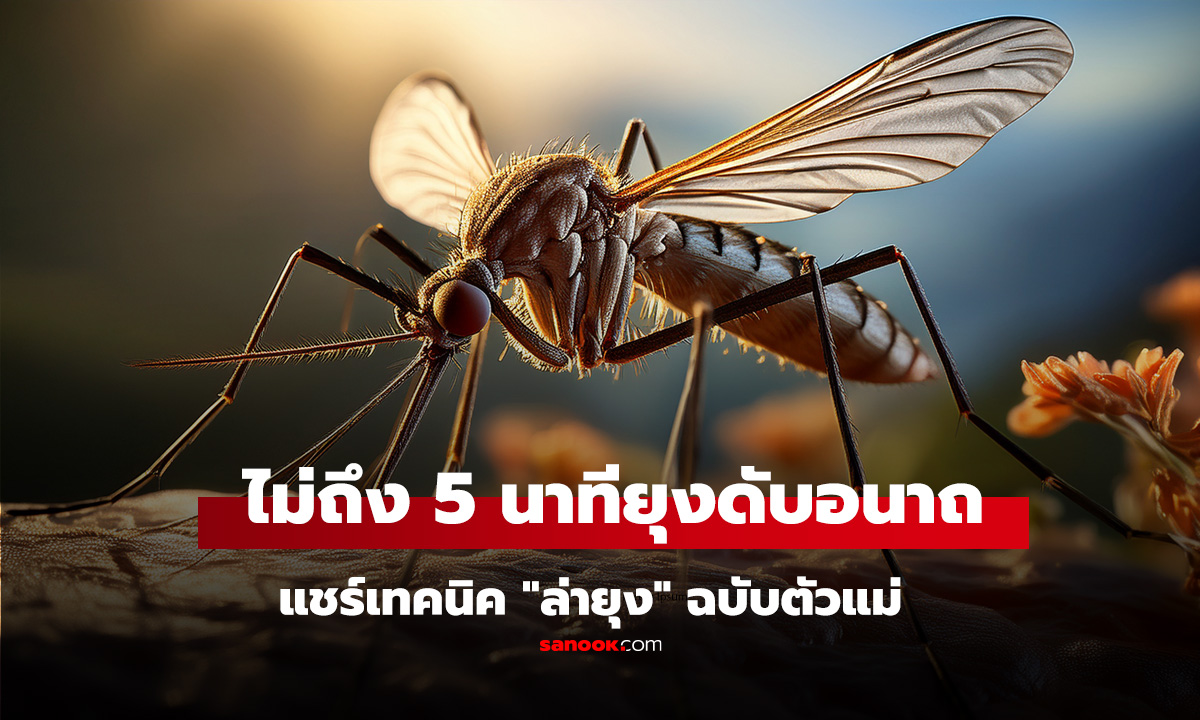 แชร์เทคนิค 