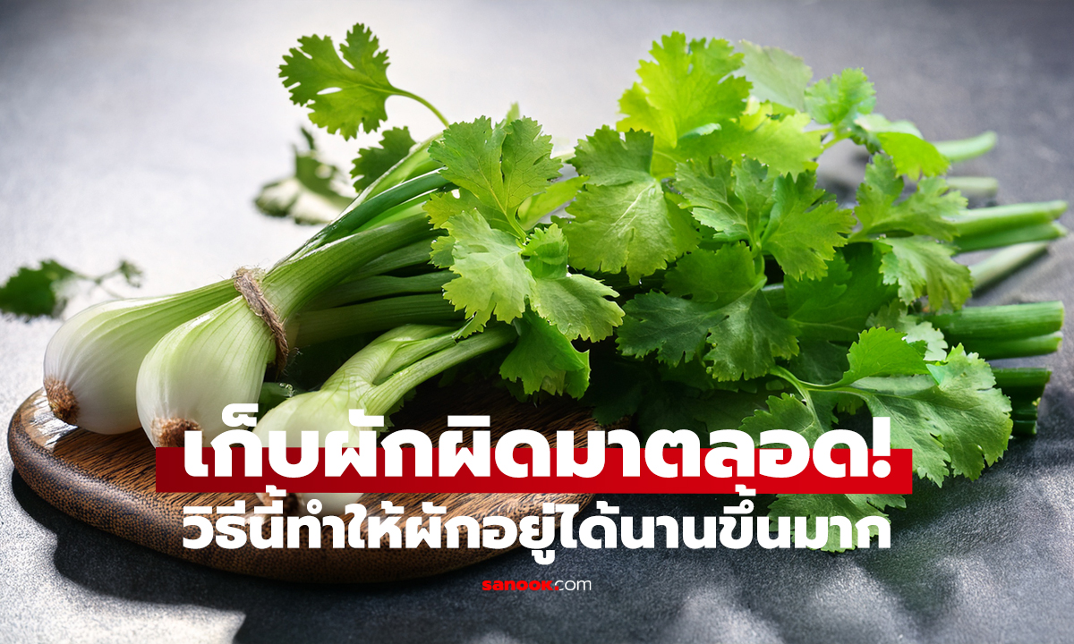 ผักชีต้นหอมเน่าไว แก้ได้! เก็บแบบนี้ อยู่ได้เป็นเดือน
