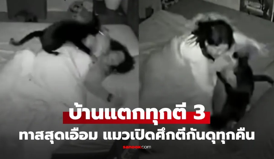 สาวตาโหล เผยสาเหตุนอนไม่พอ คลิปวงจรปิดทำอึ้ง!