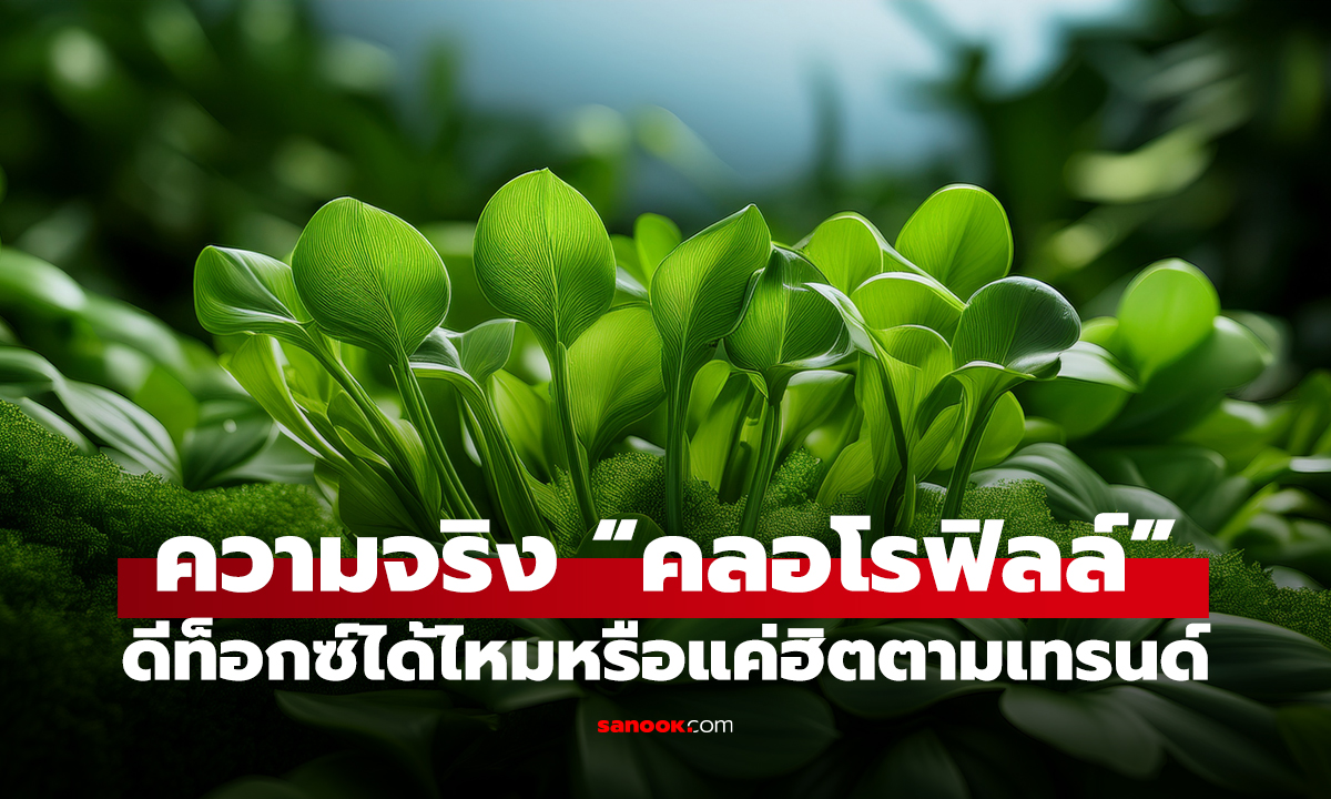 ความจริง “คลอโรฟิลล์” ดีท็อกซ์ได้ไหม หรือแค่ฮิตตามเทรนด์