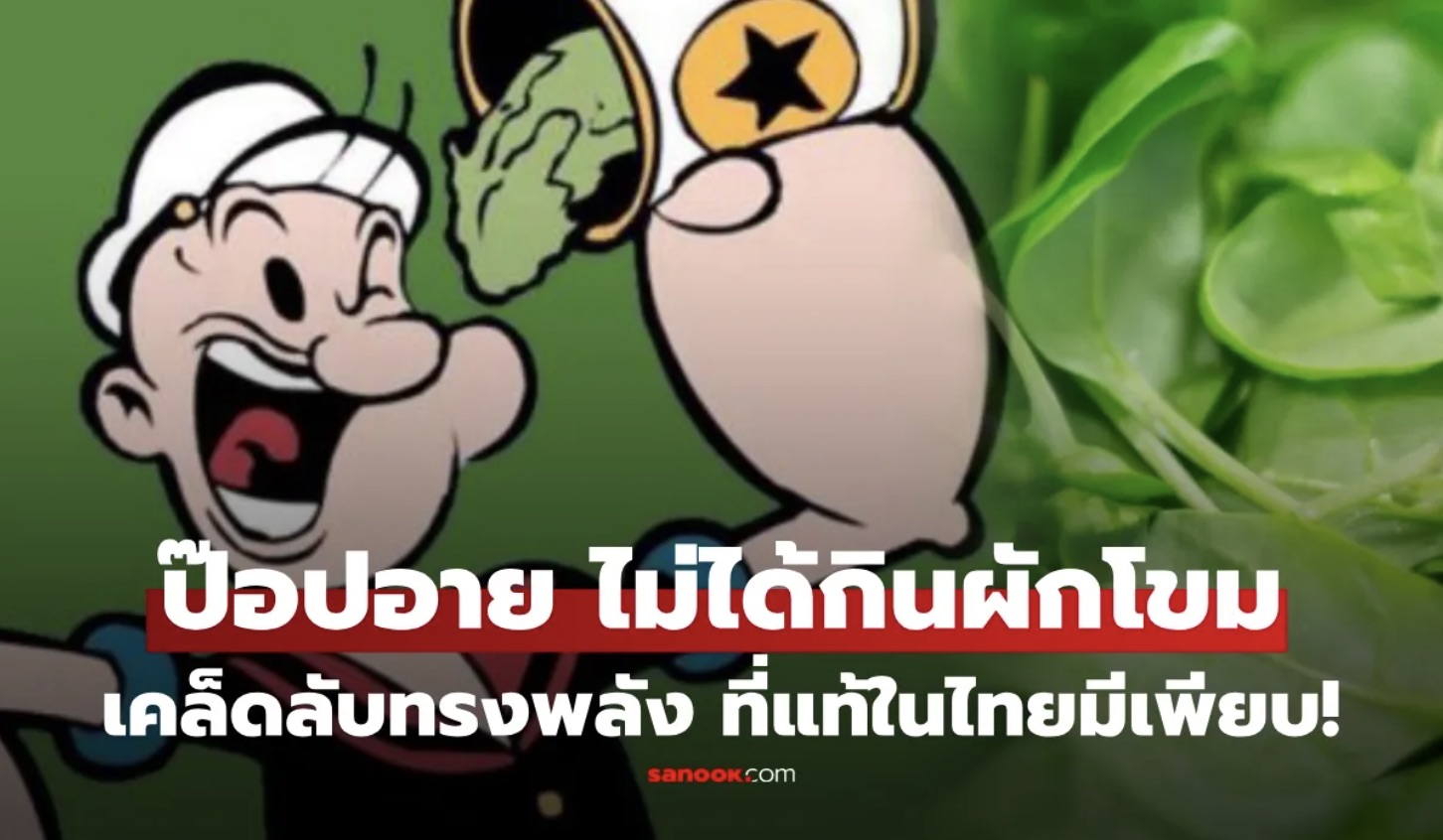 ป๊อปอายกินอะไร? ไม่ใช่ผักโขมอย่างที่คิด!