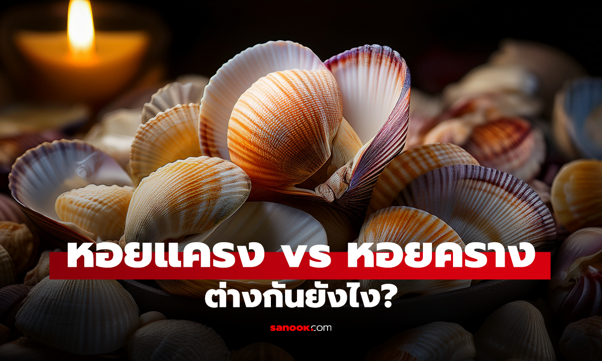 หอยแครง vs หอยคราง ต่างกันยังไง?