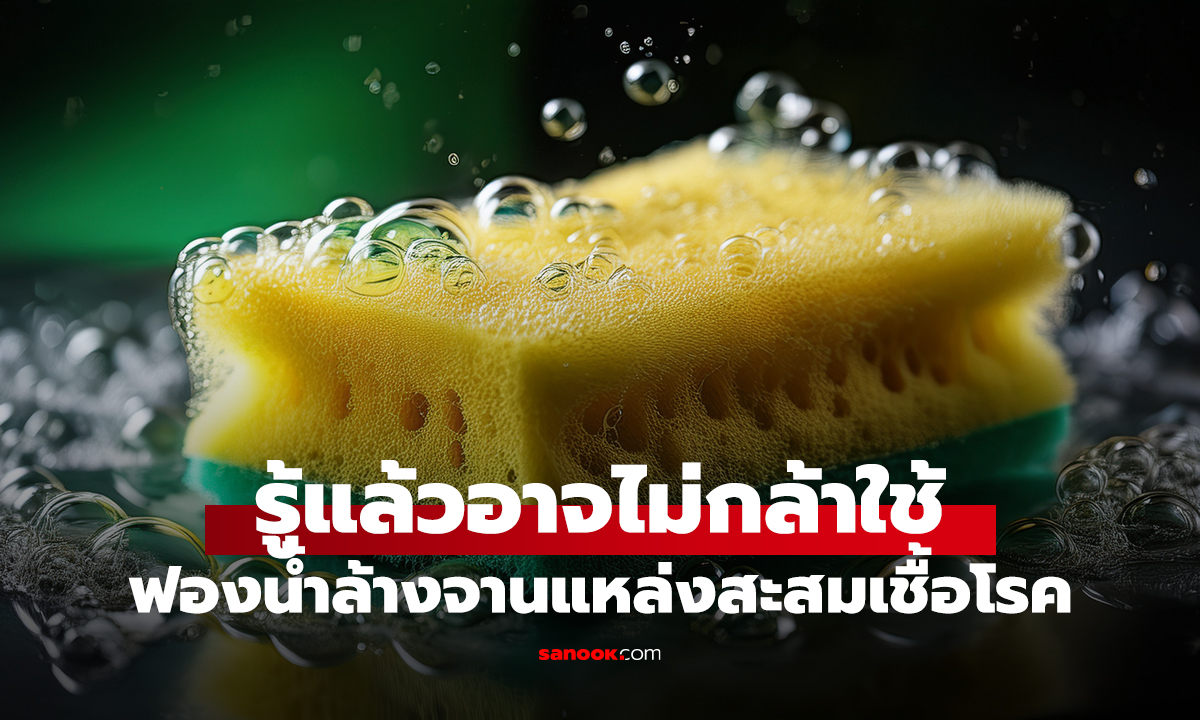 รู้แล้วอาจไม่กล้าใช้ ฟองน้ำล้างจานแหล่งสะสมเชื้อโรค
