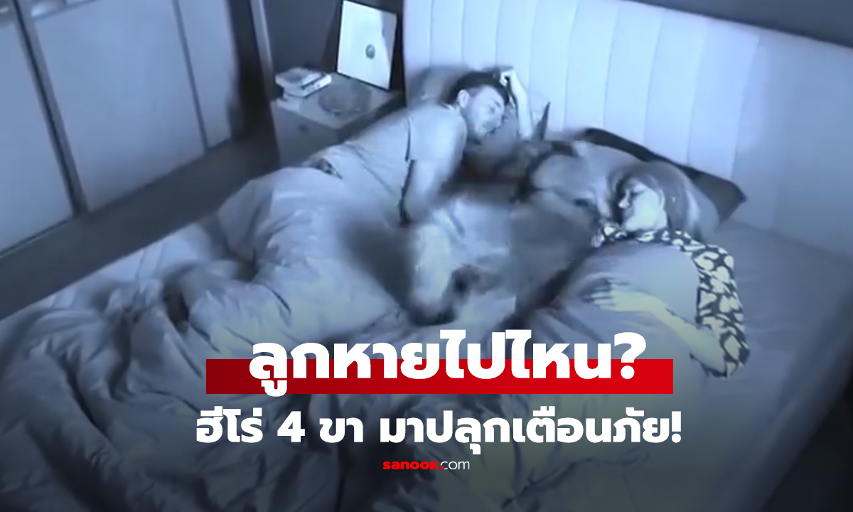 คลิป ลูกหายไปไหน?  ฮีโร่ 4 ขา มาปลุกเตือนภัย!