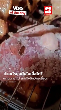 คลิป ตัวอะไรยุบยับในเนื้อไก่ เอาออกมาได้ สะพรึงนึกว่าเอเลี่ยน!