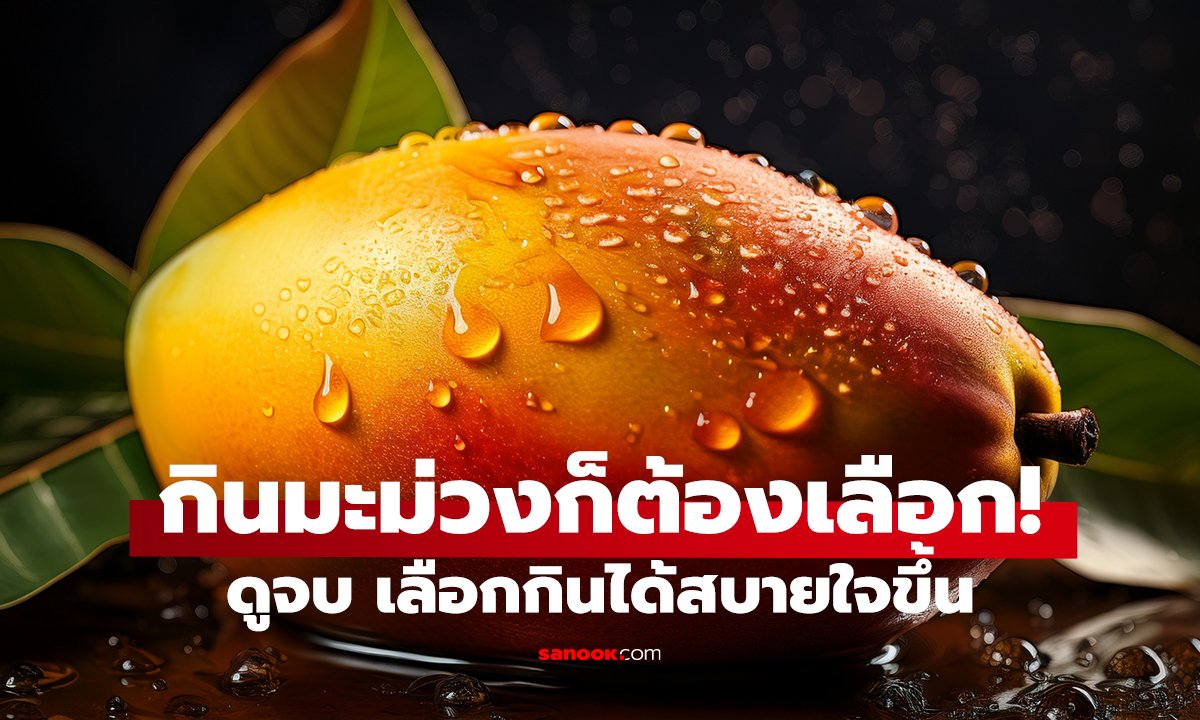 มะม่วงพันธุ์ไหนน้ำตาลพุ่งสุด?