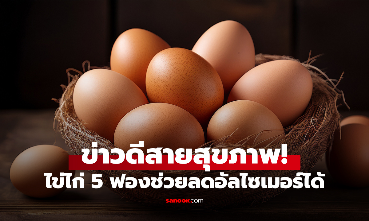 ข่าวดีสายสุขภาพ! ไข่ไก่ 5 ฟองช่วยลดอัลไซเมอร์ได้