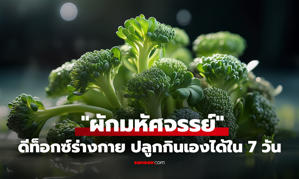 "ผักมหัศจรรย์" ต้านมะเร็งดีกว่าบรอกโคลี 100 เท่า ดีท็อกซ์ร่างกาย ปลูกกินเองได้ใน 7 วัน!