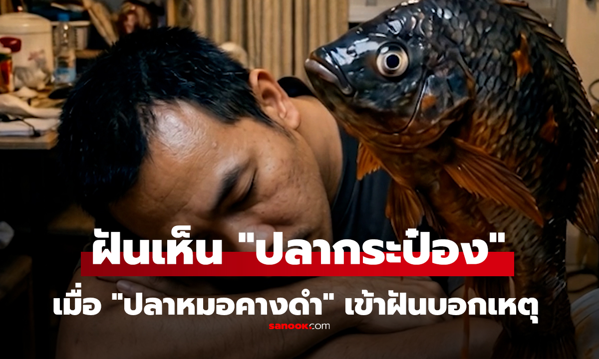คลิป ฝันเห็น 