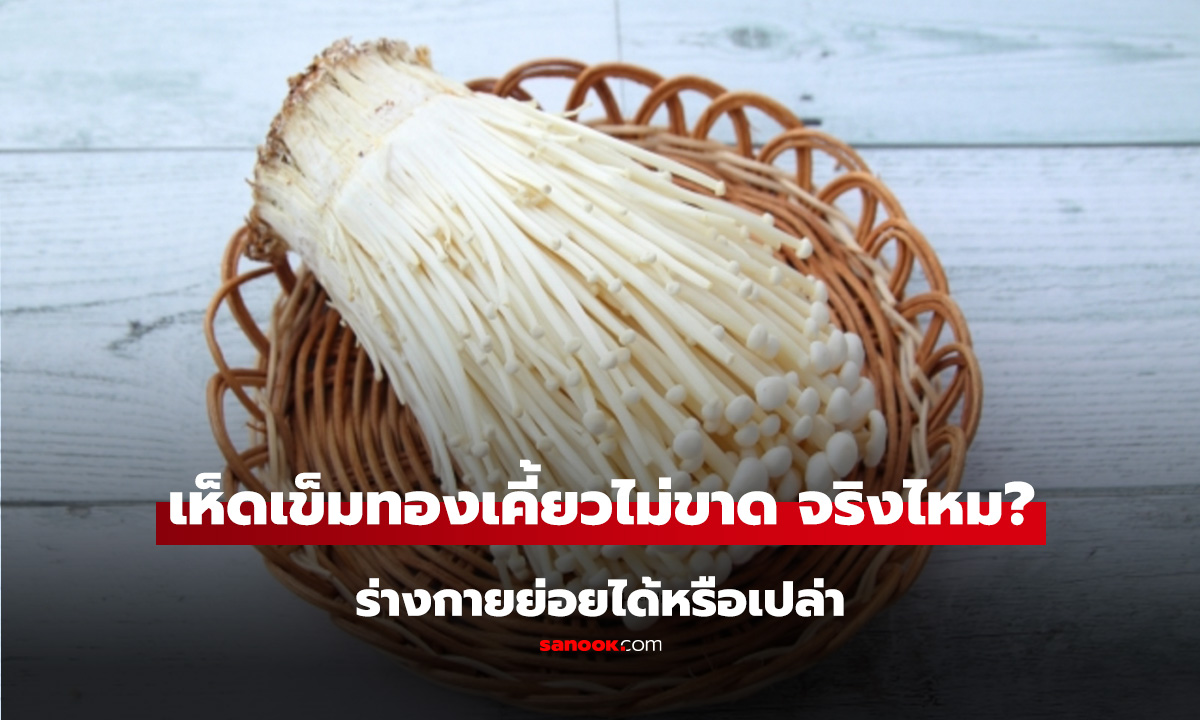 เห็ดเข็มทองเคี้ยวไม่ขาด จริงไหม? ร่างกายย่อยได้หรือเปล่า หลายคนสงสัยมานาน