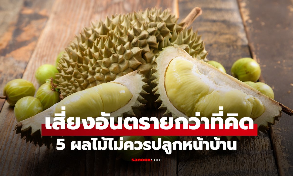 5 ไม้ผล ที่ควรปลูกให้ไกลจากบ้าน ไม่ใช่แค่อับโชค แต่อาจพาความซวยถาโถมไม่รู้ตัว
