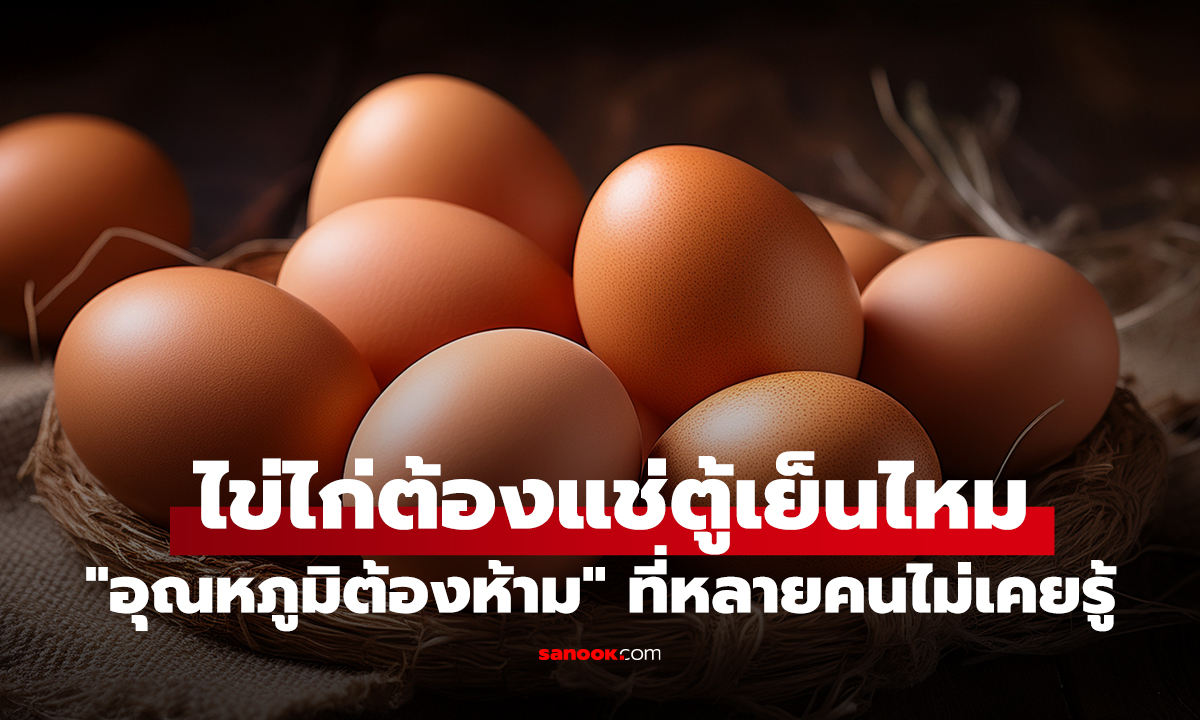 ไข่ไก่ต้องแช่ตู้เย็นไหม? ร้านไข่เก่าแก่เผย "อุณหภูมิต้องห้าม" ที่หลายคนไม่เคยรู้