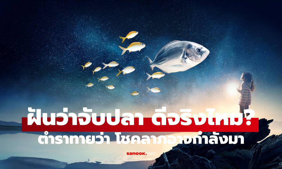 ฝันว่าจับปลา หมายถึงอะไร? เปิดคำทำนาย พร้อมเลขเด็ดให้โชค