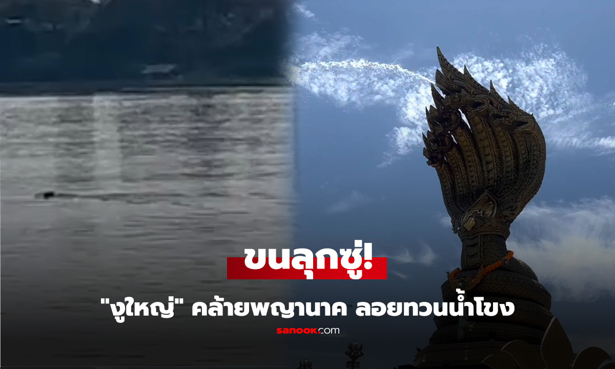 ไม่เชื่ออย่าลบหลู่! ยาว 10 เมตร โผล่ลอยทวนน้ำโขง