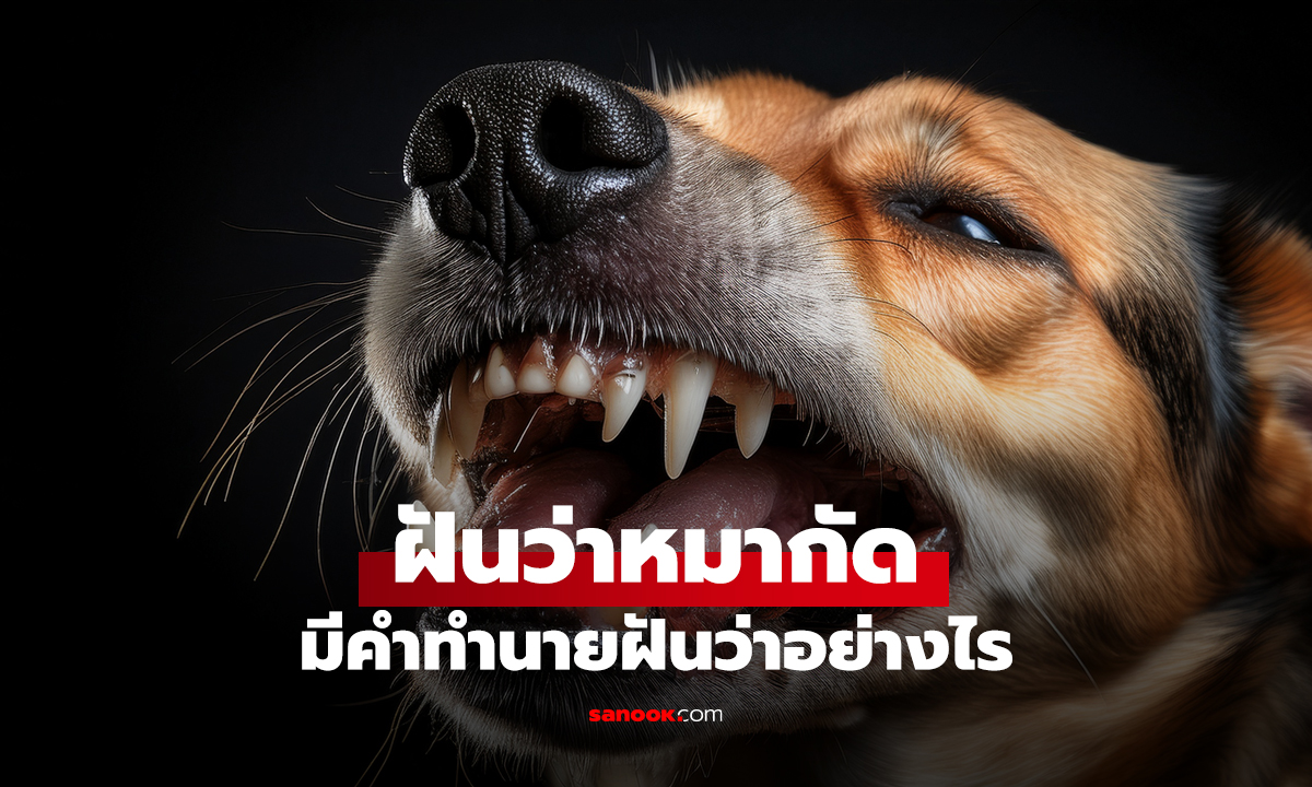 ฝันว่าหมากัด มีคำทำนายฝันว่าอย่างไร