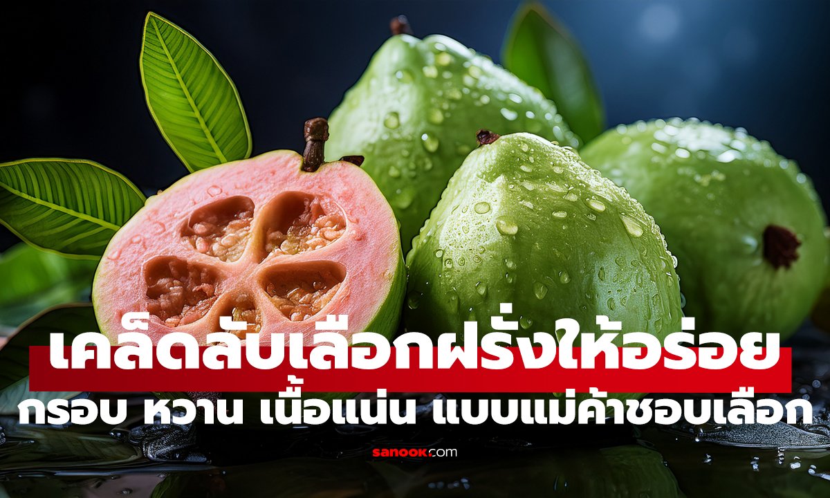 เลือกฝรั่งยังไงให้อร่อย? พ่อค้าเผย 3 จุด ดูปุ๊บรู้ปั๊บ