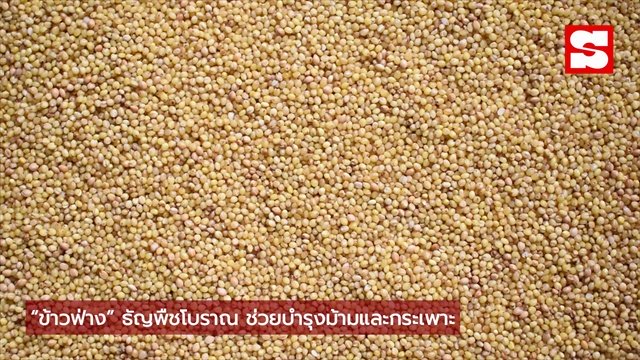 จีนเผย 3 ซูเปอร์ฟู้ด 