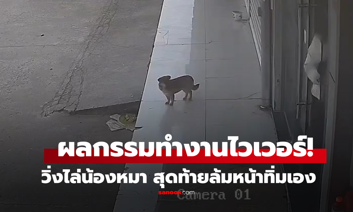 คลิป 