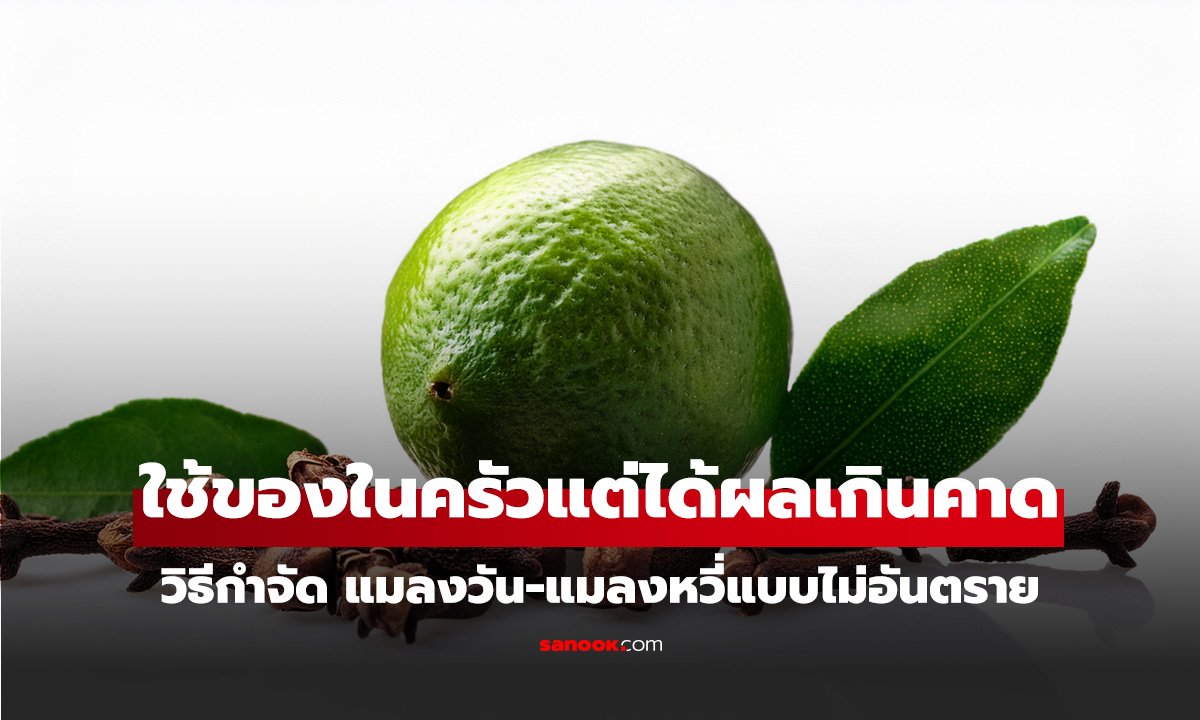 วิธีกำจัด แมลงวัน-แมลงหวี่ แบบธรรมชาติ ใช้ของในครัวแต่ได้ผลเกินคาด