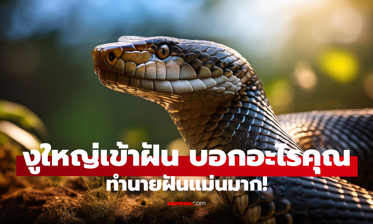 ฝันเห็นงูจงอาง กำลังมีโชคจริงไหม!?