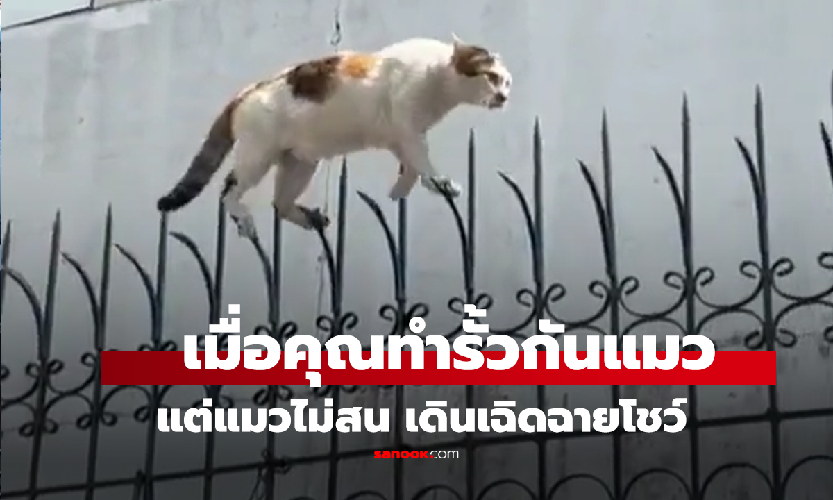 คลิป ลงทุนทำ 
