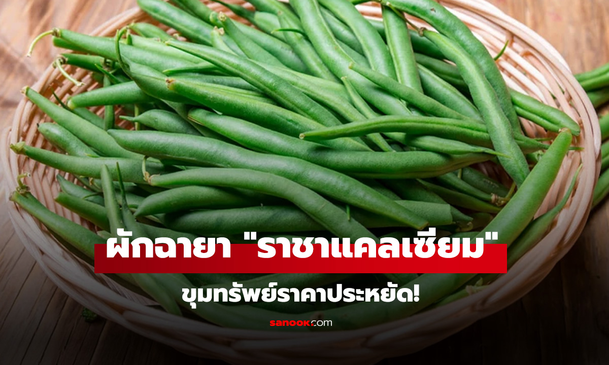ผักฉายา 