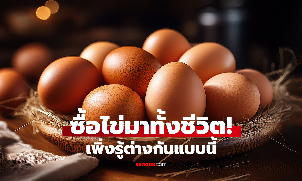 ไข่กลม VS ไข่แหลม แบบไหนอร่อยกว่ากัน?