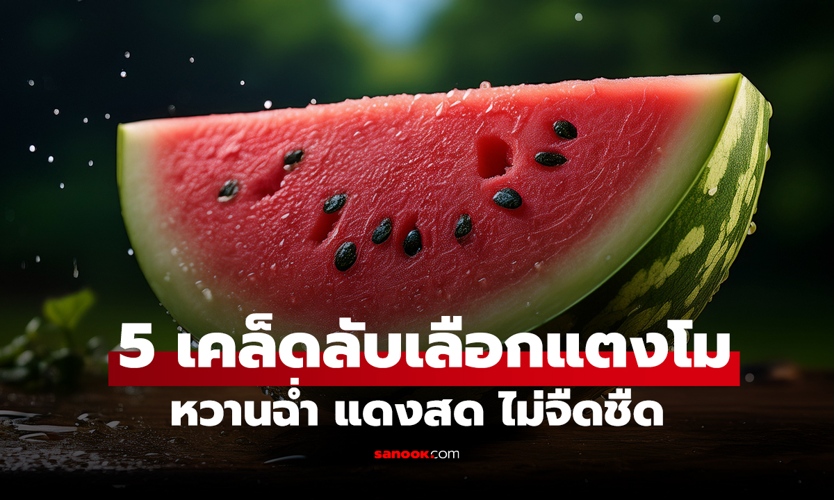 5 เคล็ดลับเลือกซื้อแตงโมจากพ่อค้ามือโปร หวานฉ่ำ แดงสด ไม่จืดชืด