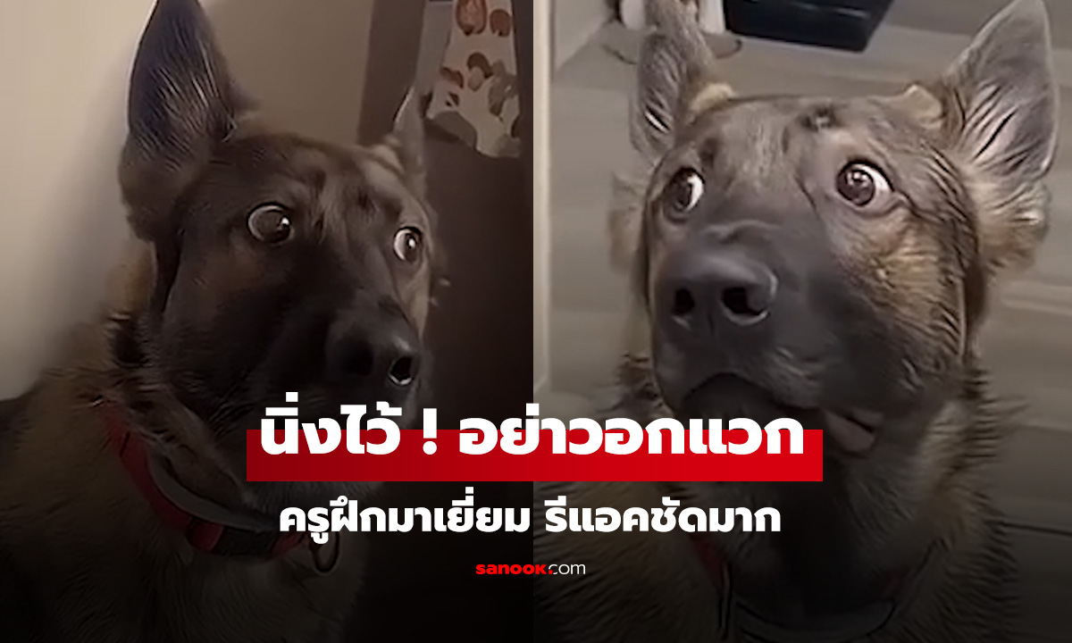 ครูฝึกสุนัขตำรวจมาเยี่ยม  เก็บอาการได้แล้ว เหลือแต่เก็บสีหน้า