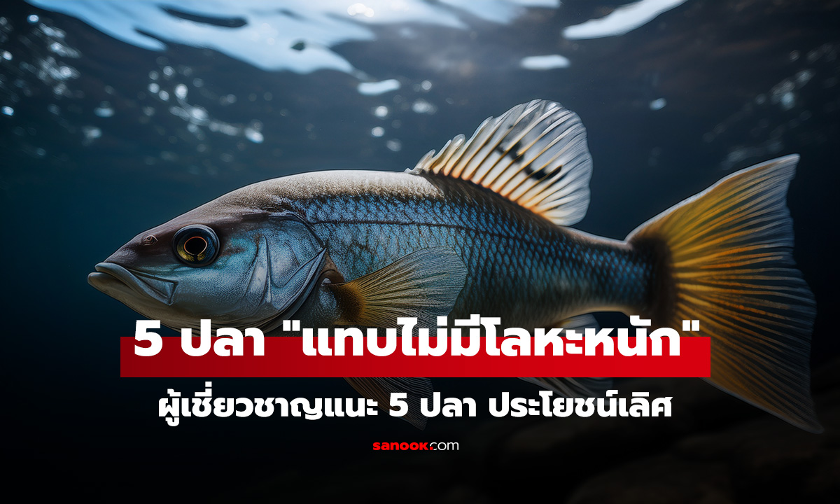 ผู้เชี่ยวชาญแนะ 5 ปลา 