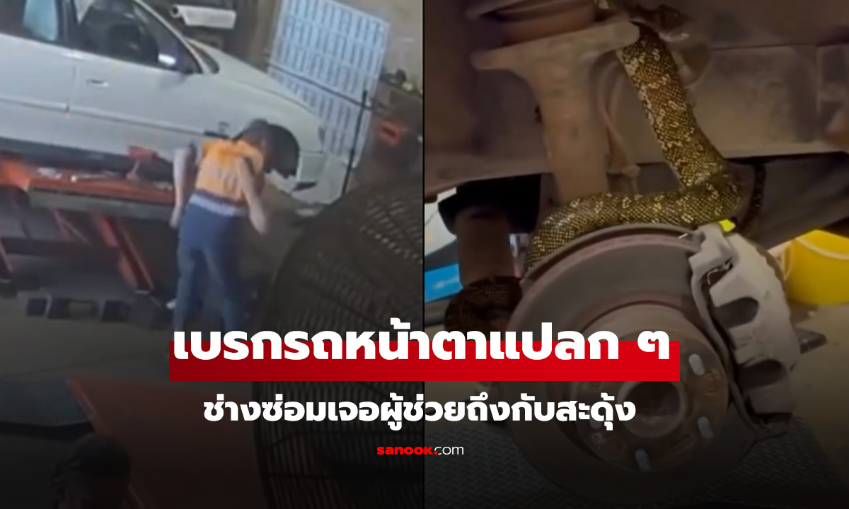 ช่างกรี๊ดกลางอู่เจอแบบนี้ใครก็วิ่ง ดูใกล้ๆ ยิ่งขนลุก