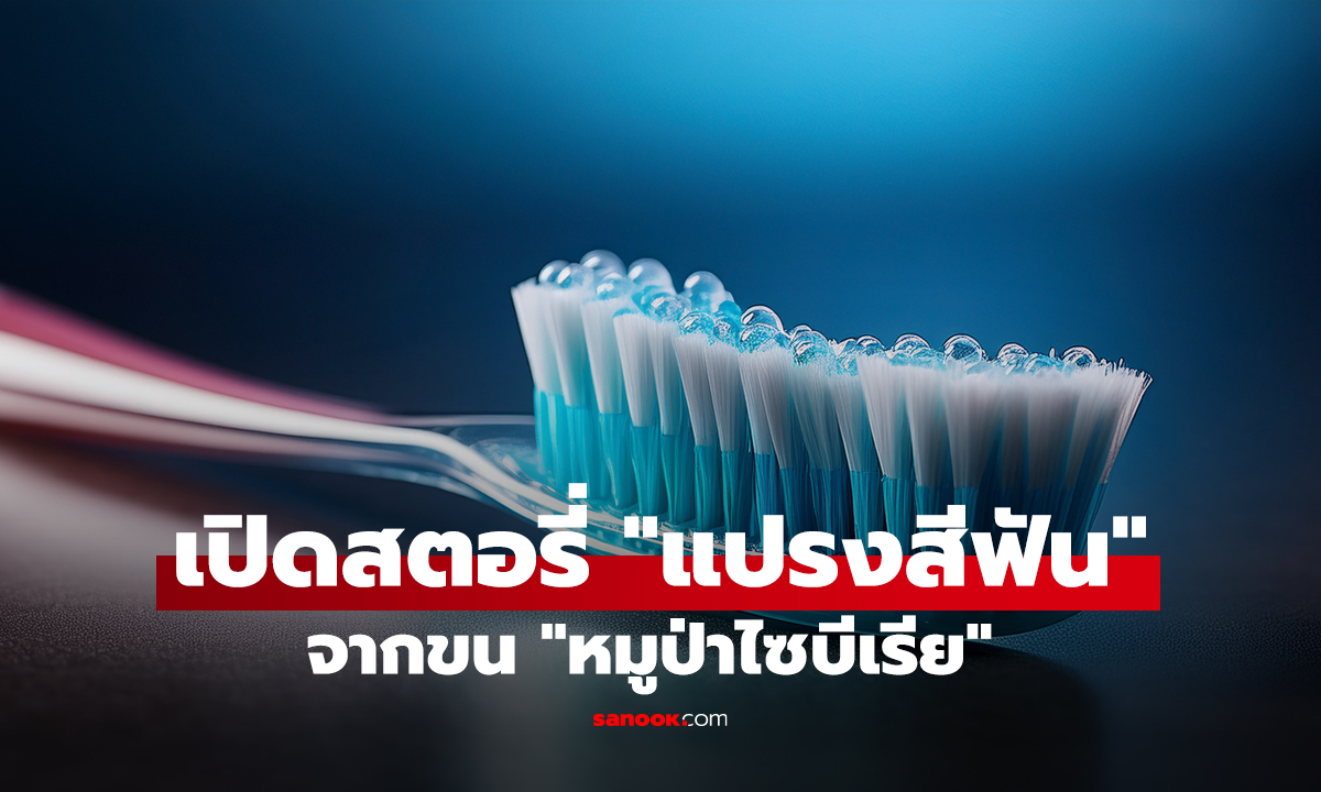 เปิดสตอรี่ 