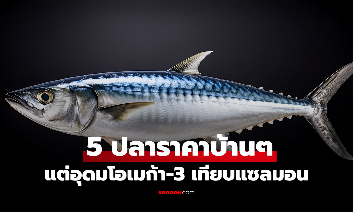 แพทย์เผย 5 ปลาราคาบ้านๆ แต่อุดมโอเมก้า-3 เทียบแซลมอน ไทยมีครบและหากินง่ายมากๆ!
