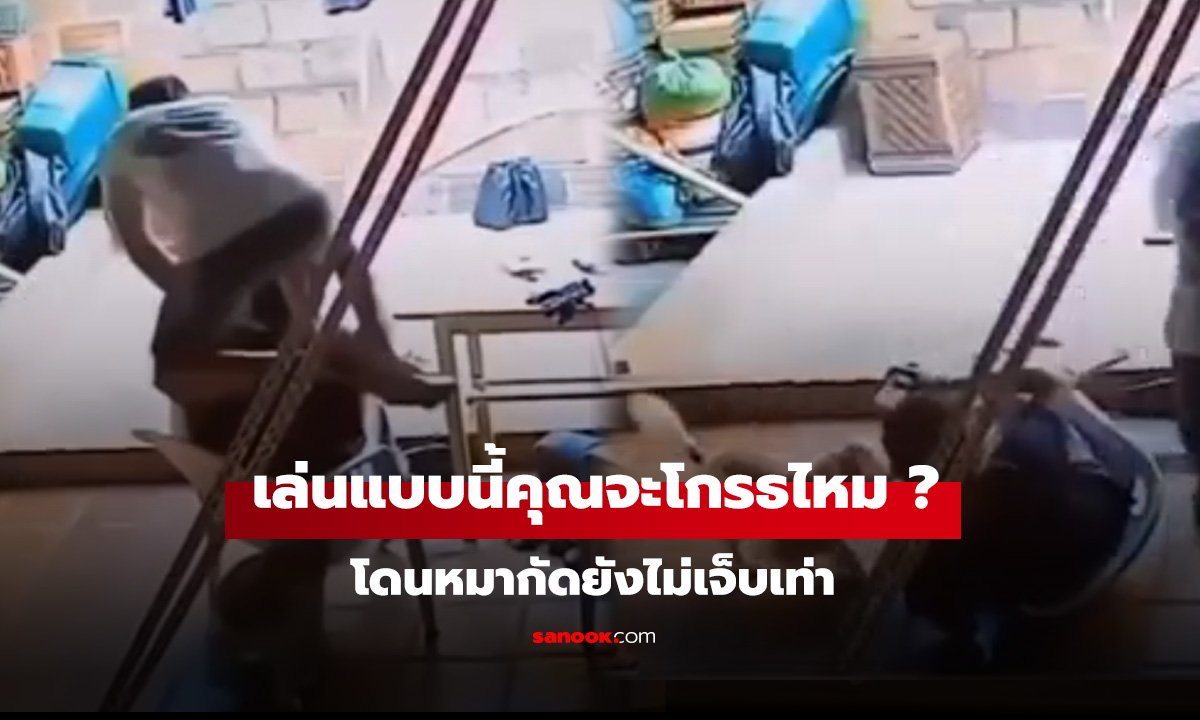 เป็นคุณจะโกรธไหม คอแทบหัก โดนหมากัดยังไม่เจ็บเท่า!