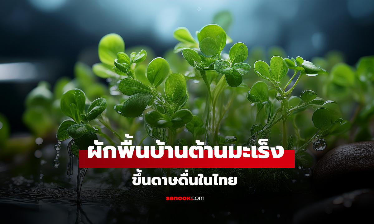 อันดับ 1 ของโลก! 