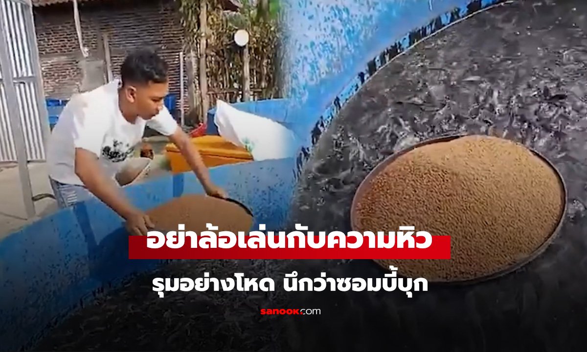 อย่าล้อเล่นกับความหิว ลืมให้อาหาร 2 วัน สภาพ! รุมอย่างโหด