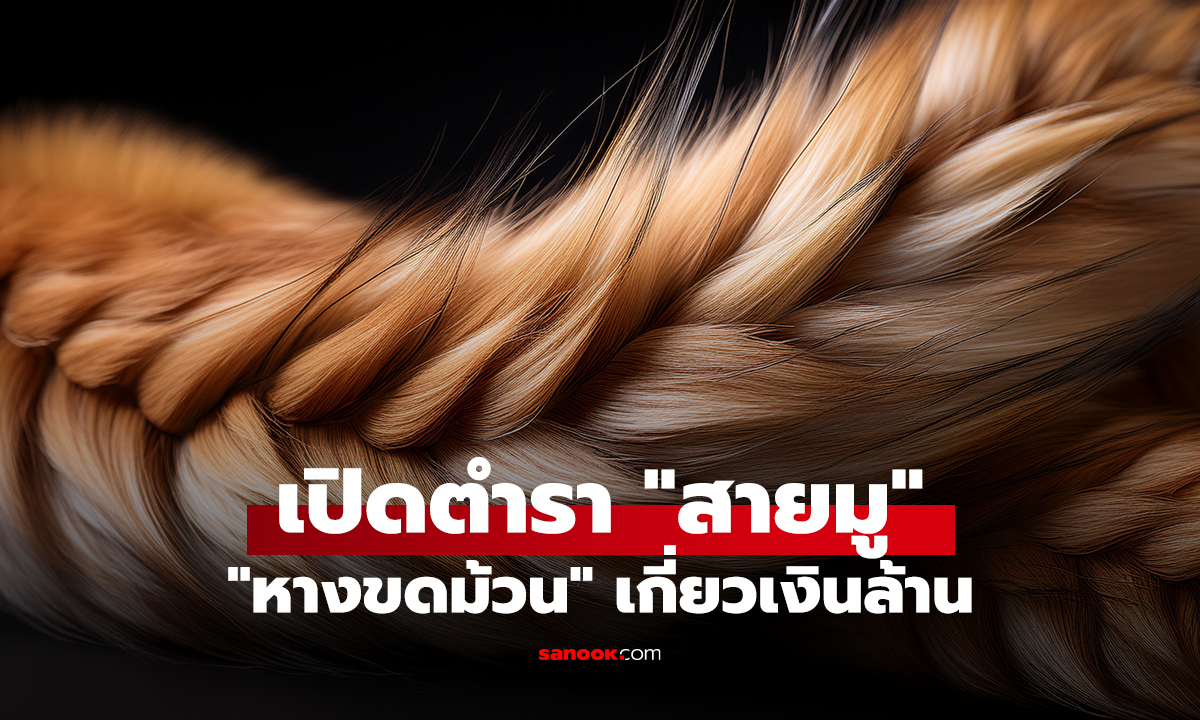 เปิดตำรา 