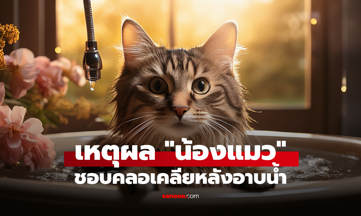 เหตุผล 