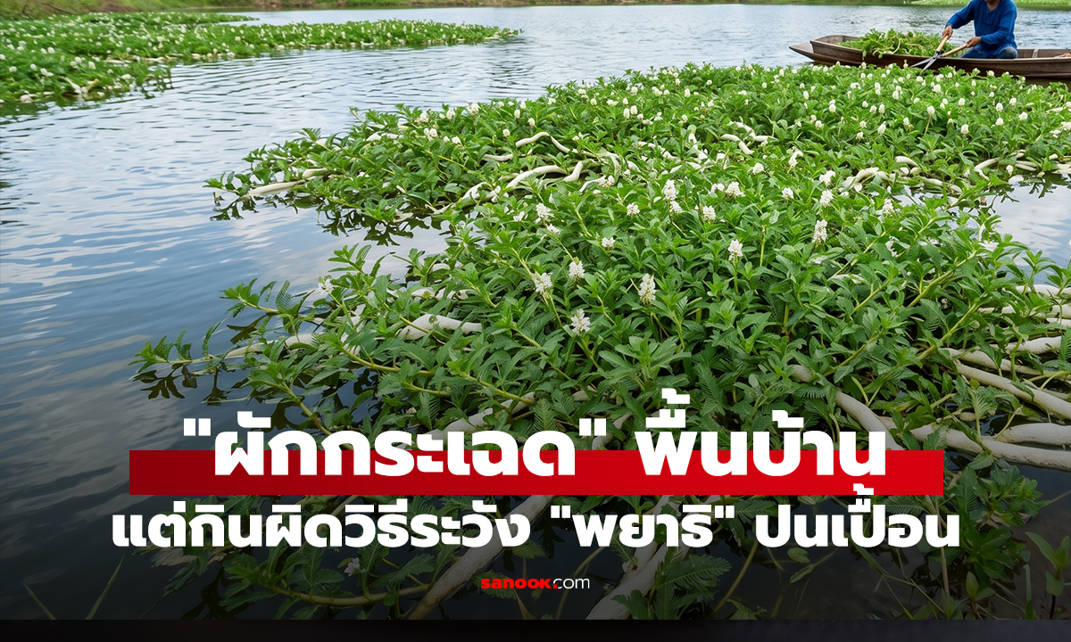ผักกระเฉด