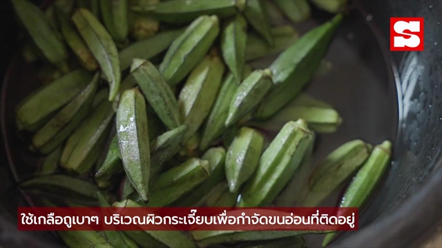ห้ามตัดขั้วก่อน 