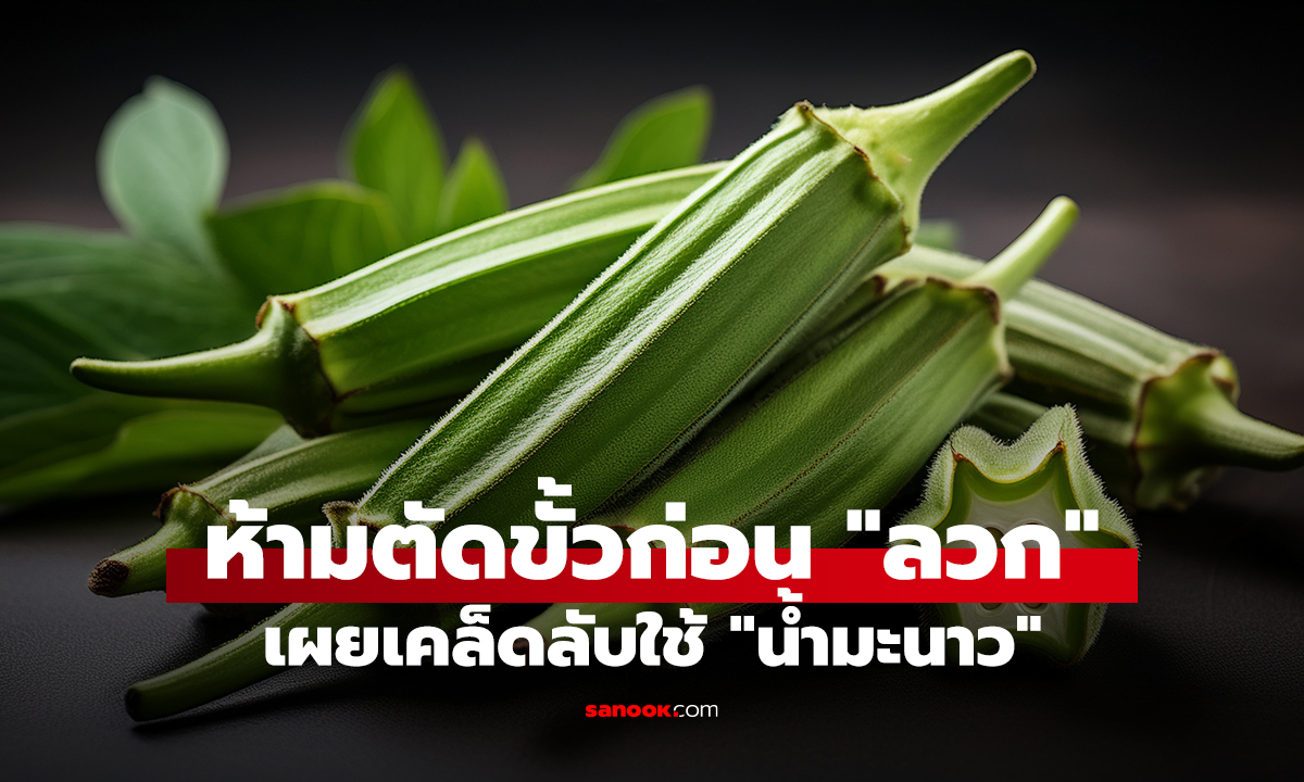คลิป ดูจบมีร้องเฮ้ย! เปิดคลิปนาที 
