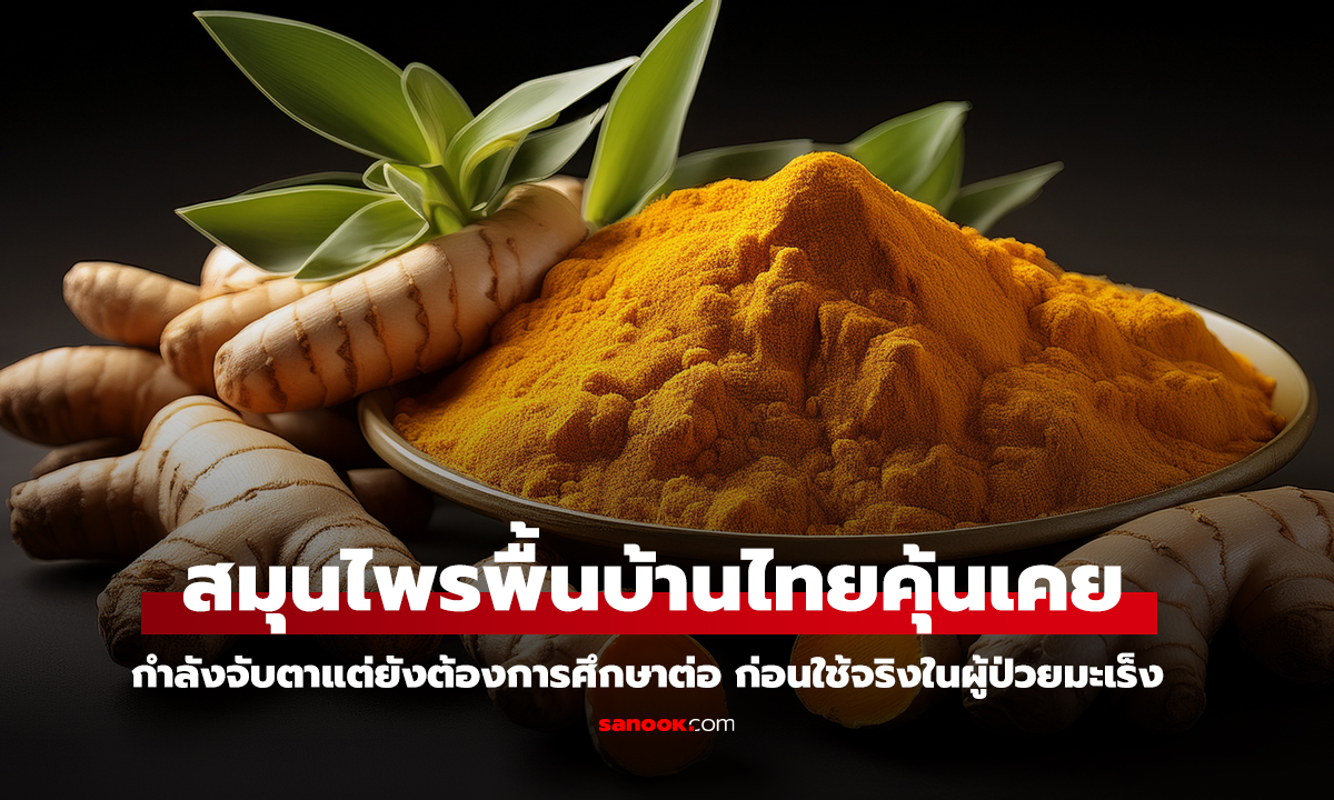 เหง้าขมิ้นขาว ความหวังใหม่ในการรักษา 