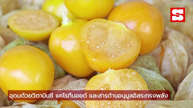 ผลไม้สีทองที่คนพูดถึง! กิน 1 ถ้วย ได้สารต้านอนุมูลอิสระ