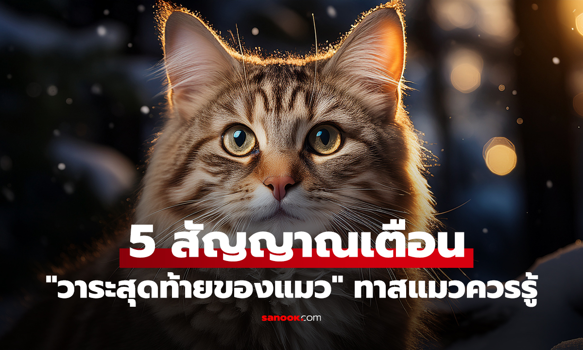 5 สัญญาณเตือน 
