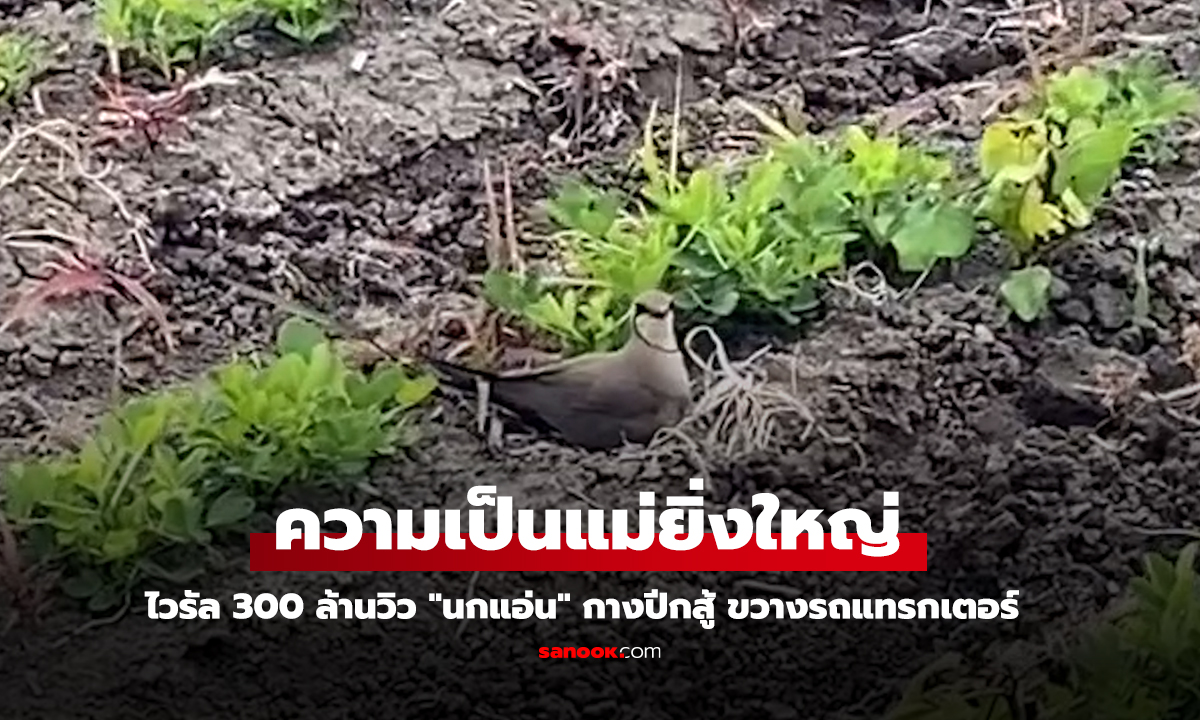 คำว่า แม่ ยิ่งใหญ่เสมอ  