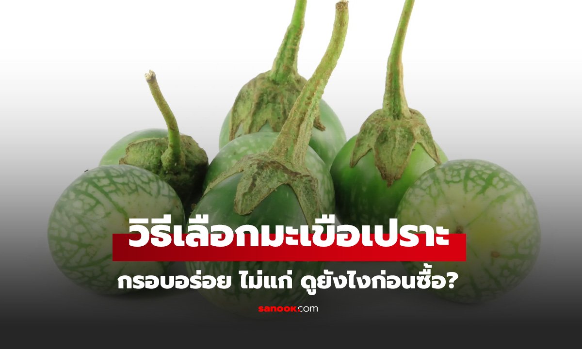 เลือกมะเขือเปราะยังไงให้ได้ลูกอ่อน กรอบอร่อย ไม่แก่ ดูยังไงก่อนซื้อ?