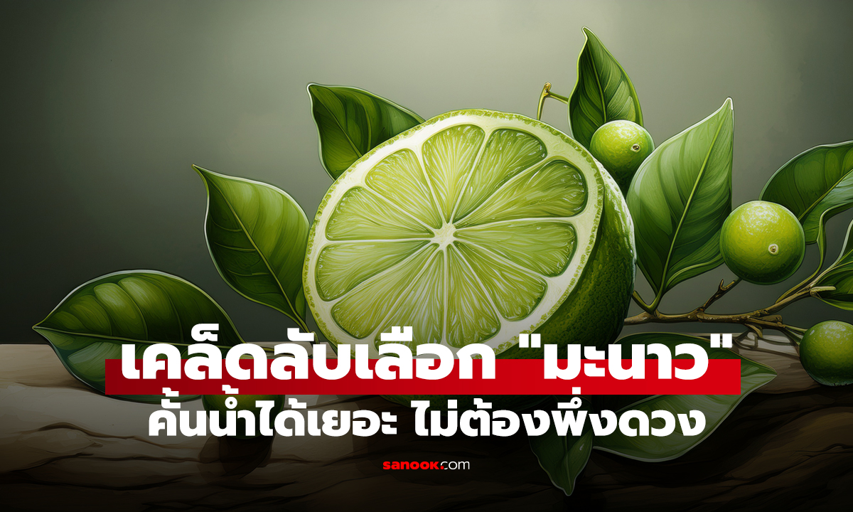 เคล็ดลับเลือก 