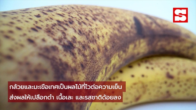 เลิกแช่ 